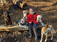 Liebevolle Hundebetreuung in Schwerin