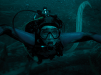 Whalefall