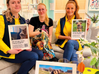 Pfotenstarke Unterstützung von Ikea
