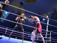 Fight Night Neubrandenburg