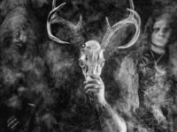 Wolves in the Throne Room